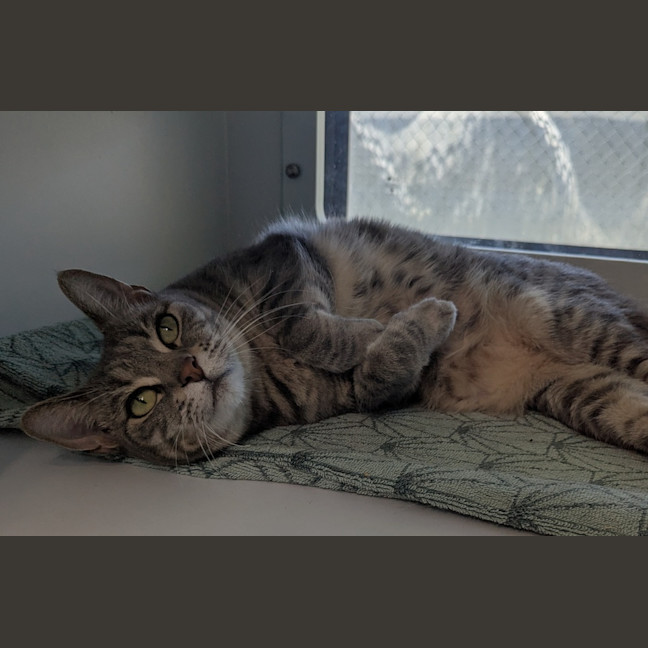 Photo of Mirabel