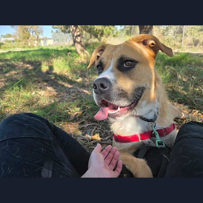 Photo of Tilly