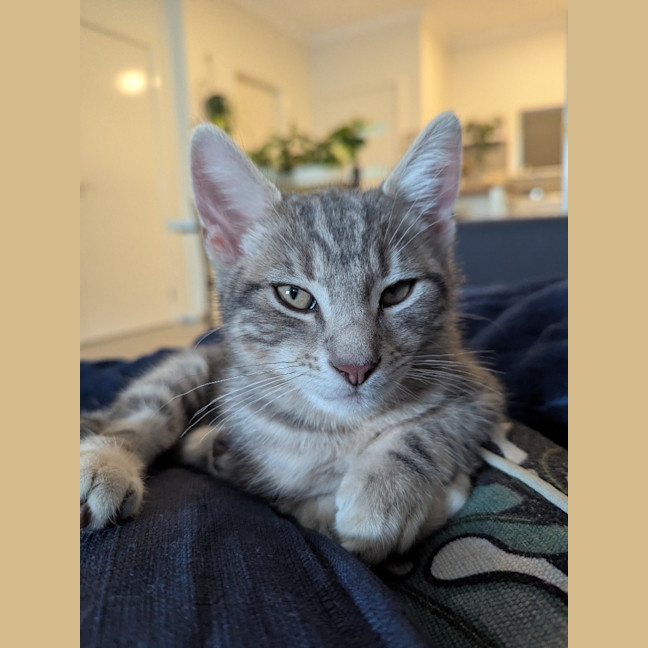 Photo of Hugo Scotty