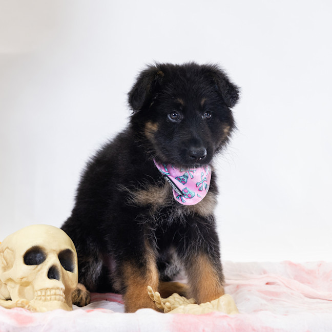 Photo of Saweetie