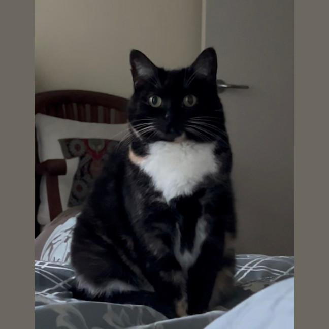 Photo of Wait A Minette!
