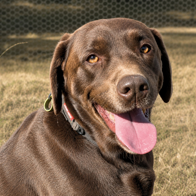 Photo of Maizie