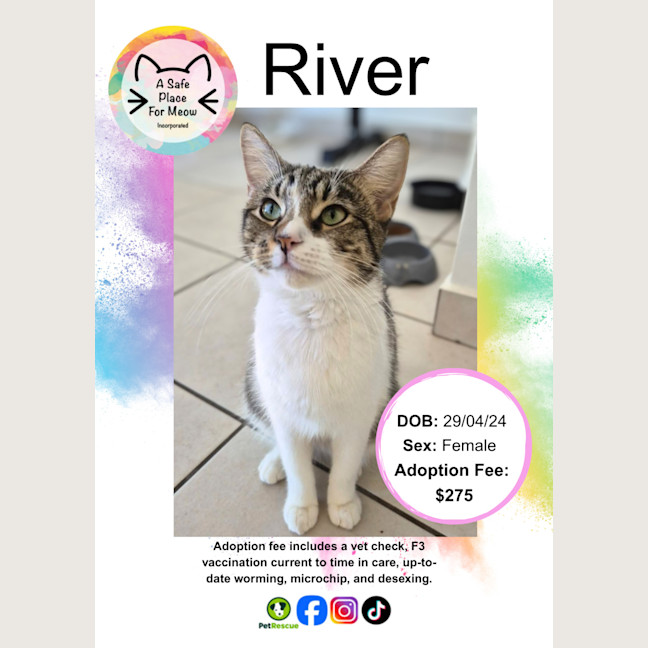 Photo of River