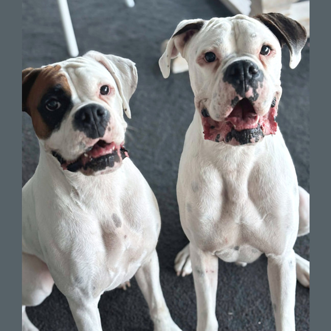 Photo of Rico And Mamacita