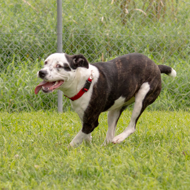 Photo of Nyla