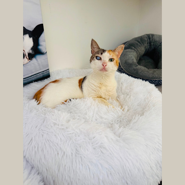 Photo of Molly