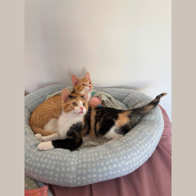 Photo of Winnie & George