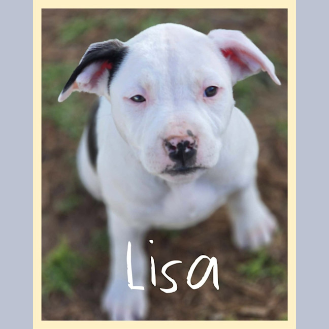 Photo of Lisa