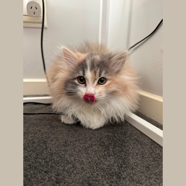 Photo of Jemima 