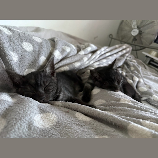 Photo of Danny (With Kenickie)