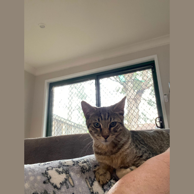 Photo of Fred (Weasley) Of Harry Potter Fame