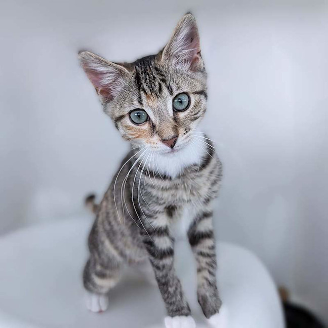 Photo of Cindy