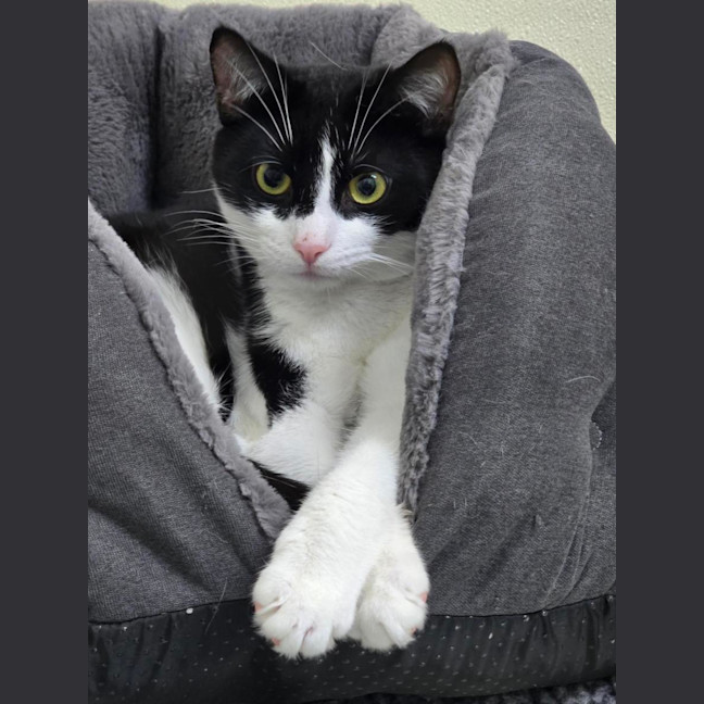 Photo of ⚓ Albie 6597 ⚓ 