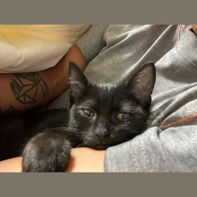 Photo of Secret Agent Friday