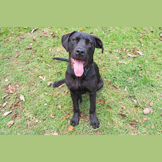 Photo of Lilly Now Rhuma