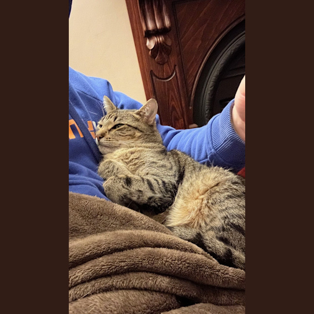 Photo of Dex & Mia