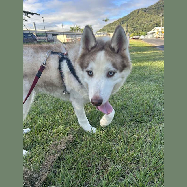 Photo of Zena