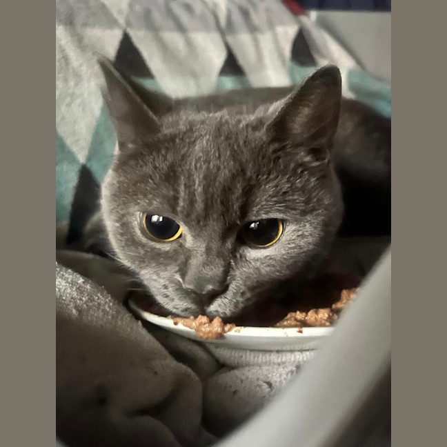 Photo of Miaowzzee