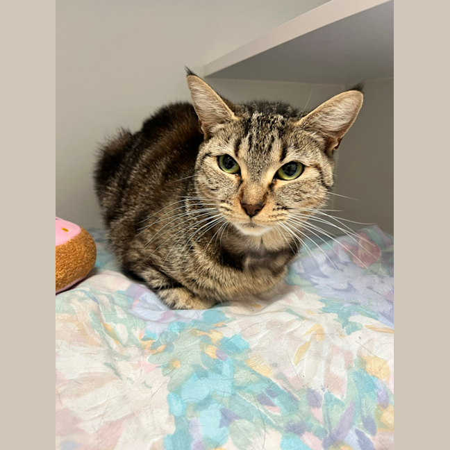 Photo of Tabitha
