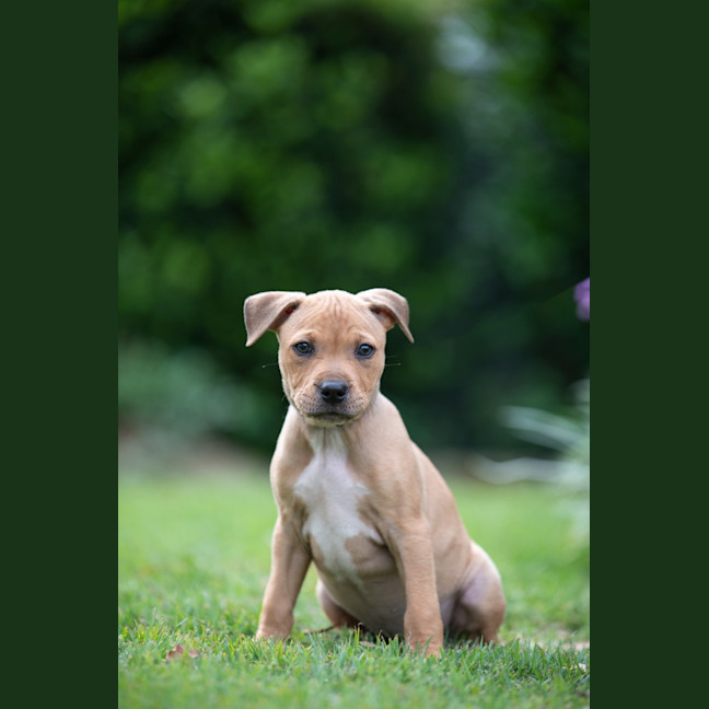 Photo of Nyla