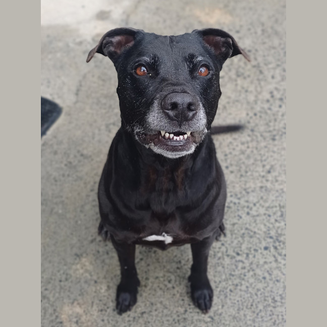 Photo of Maisey