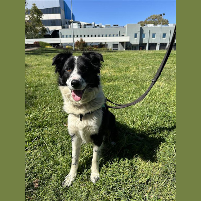 Photo of Tilly