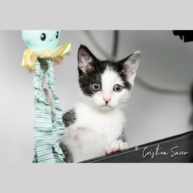 Photo of Parker