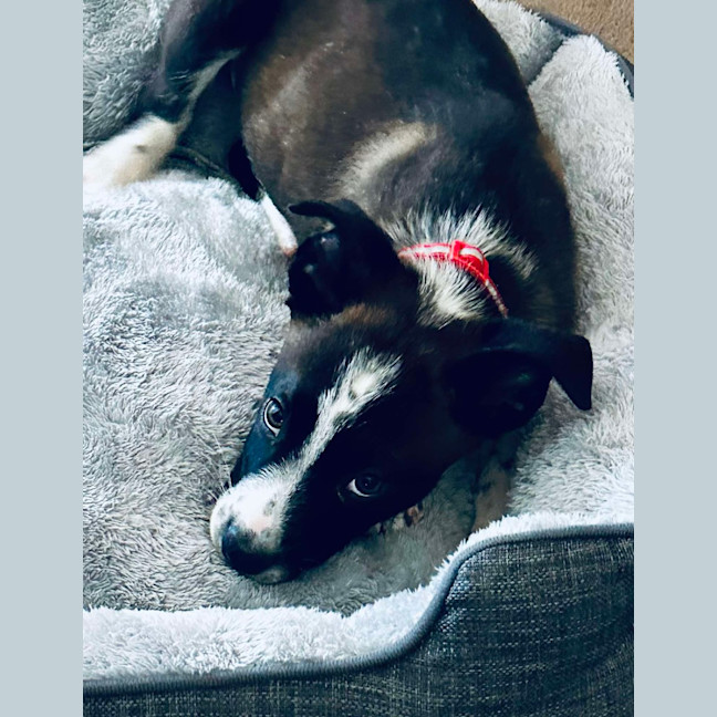 Photo of Cash