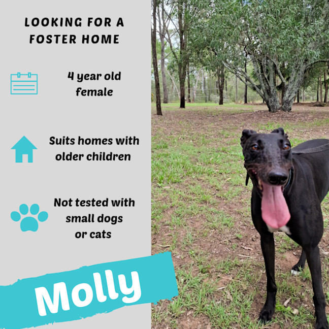 Photo of Molly