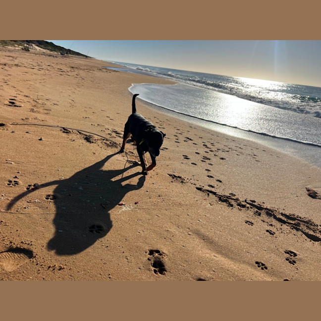 Photo of Jerry