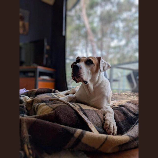 Photo of Katie