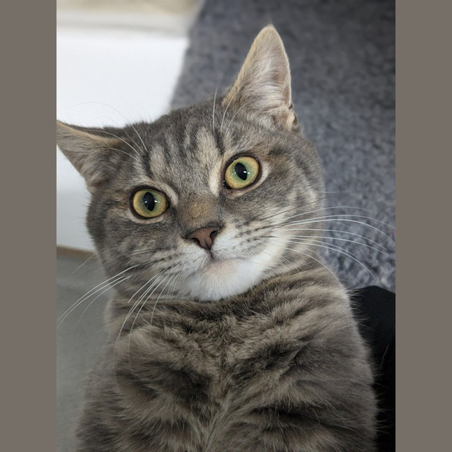 Photo of 👾 Chops 5440 👾