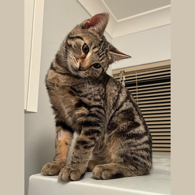 Photo of Zeke