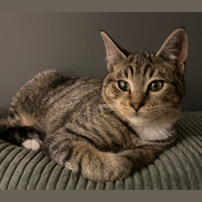 Photo of Charles