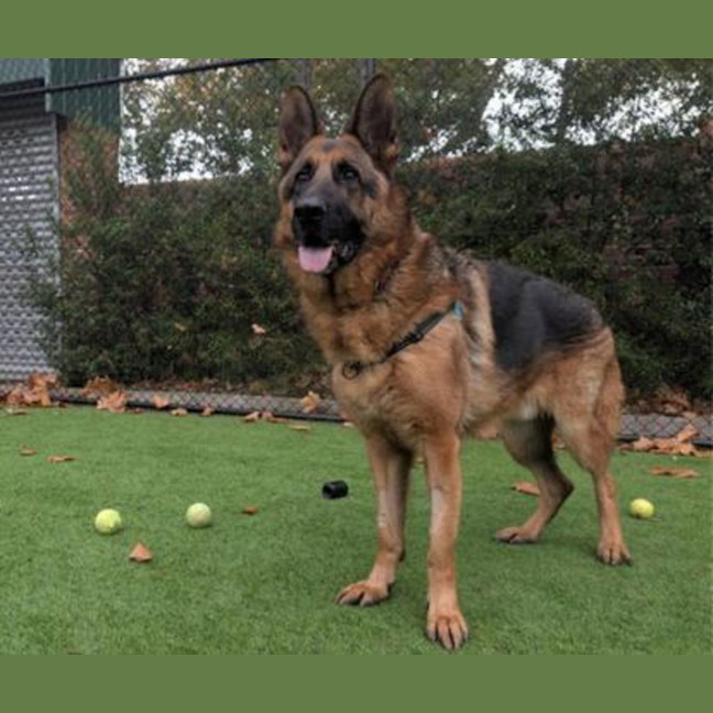 Photo of Zeus