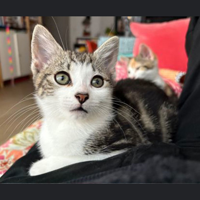 Photo of Darla