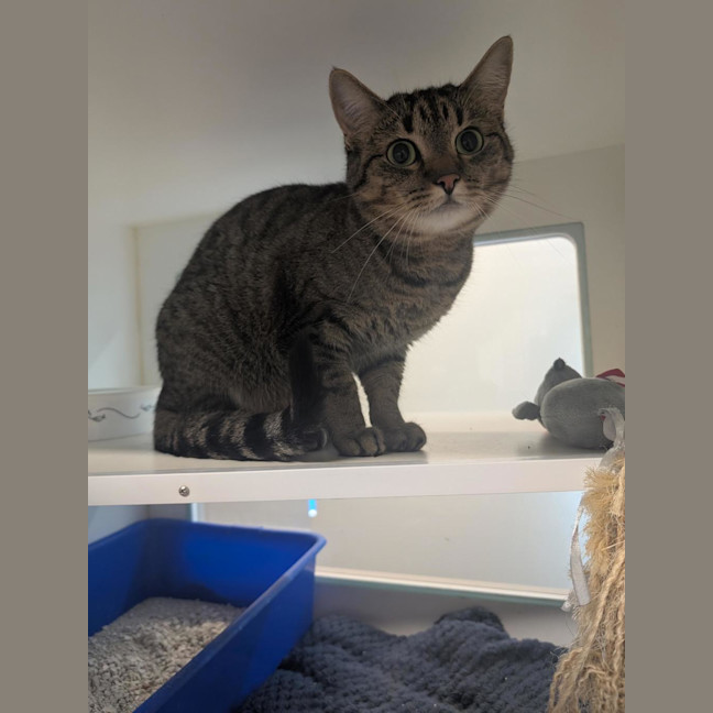 Photo of Bonnie