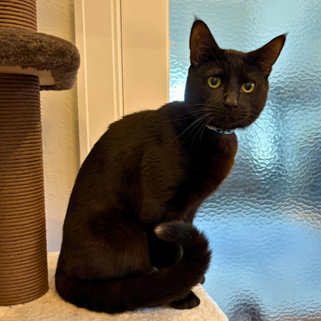 Photo of Lord Luna