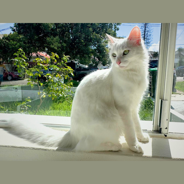 Photo of Yuki