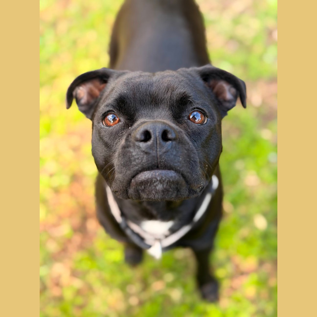 Photo of Freya