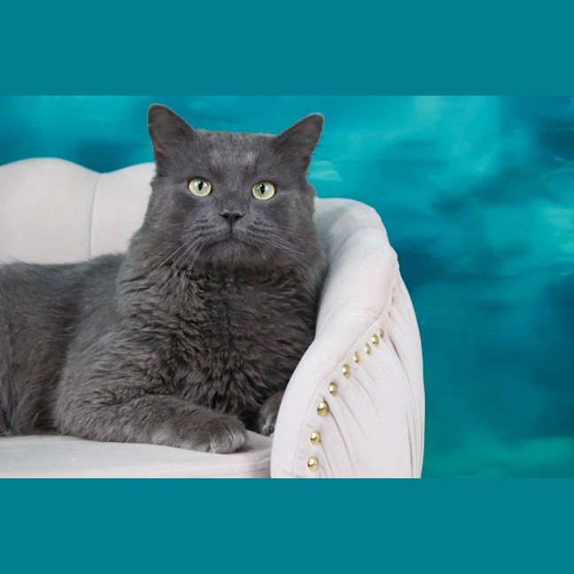 Photo of Franklyn
