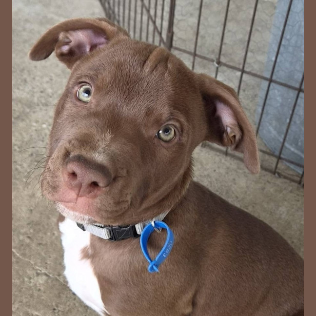 Photo of Slinky