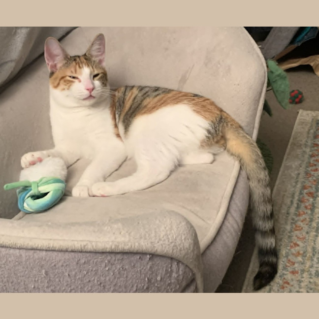 Photo of Dottie