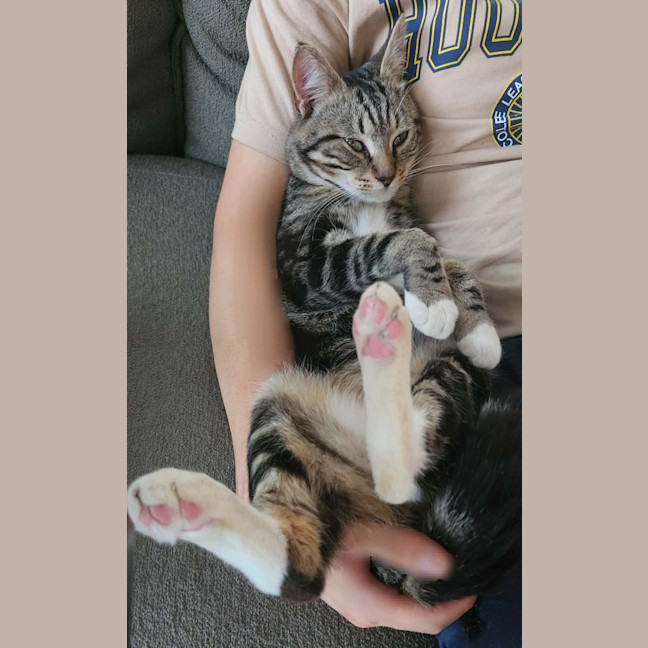 Photo of Galahad