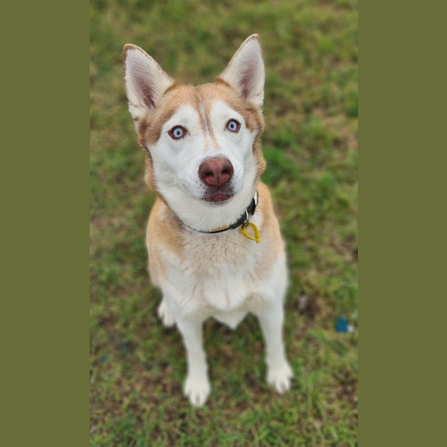 Photo of Phoebe