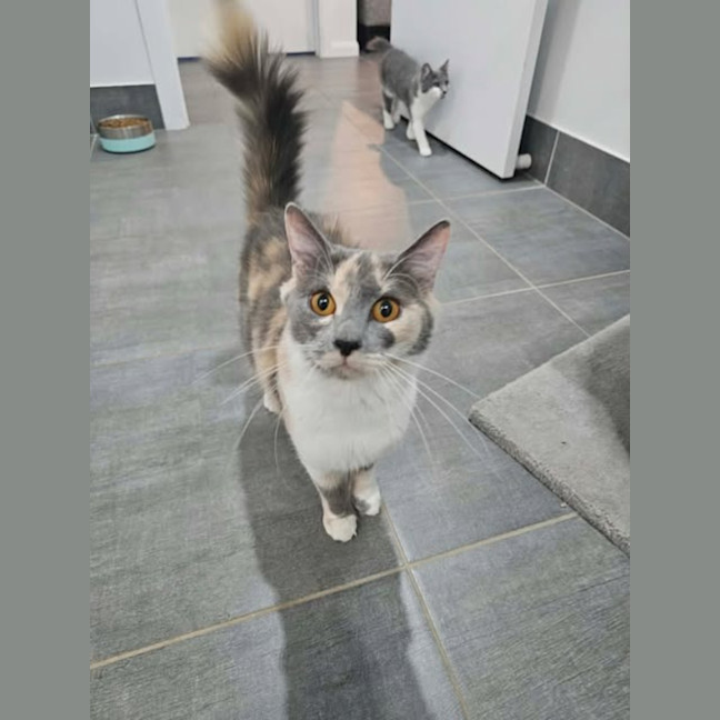 Photo of Macie