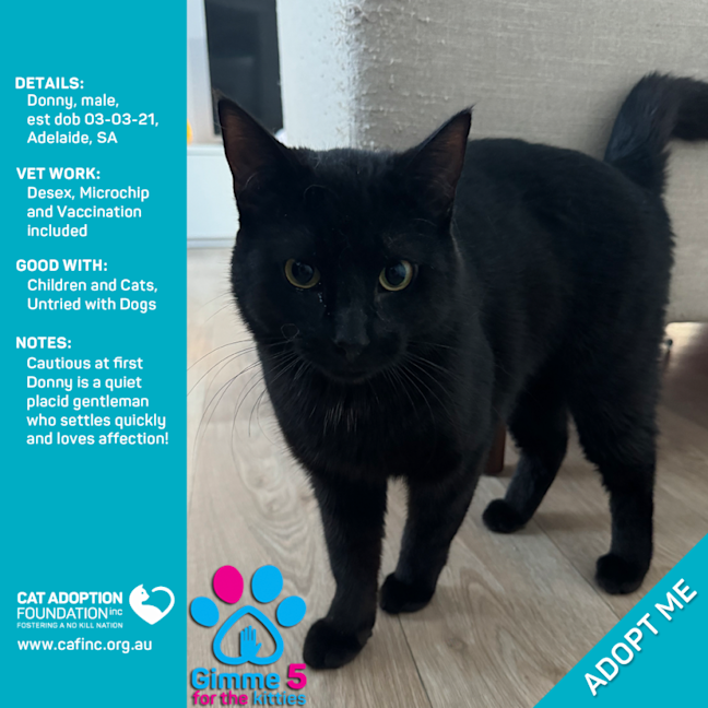 Photo of Donny Only $39 Limited Time!