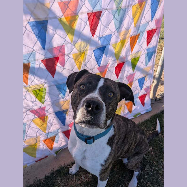 Photo of Tyson