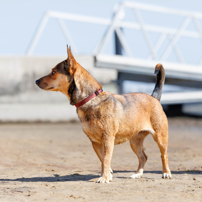 Photo of Milly Milly