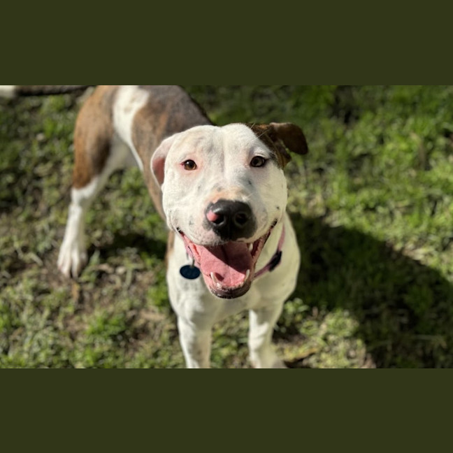 Photo of Wilma